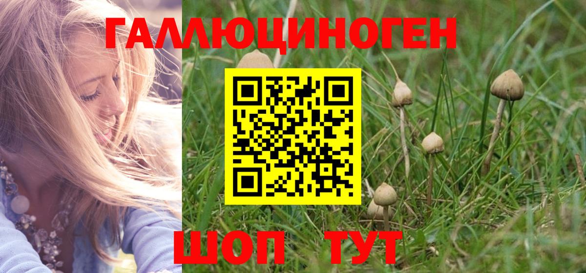 Псилоцибиновые грибы ЛСД Ачхой-Мартан