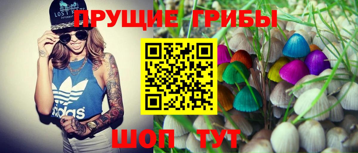 Псилоцибиновые грибы GOLDEN TEACHER  Вход с VPN  Ачхой-Мартан 