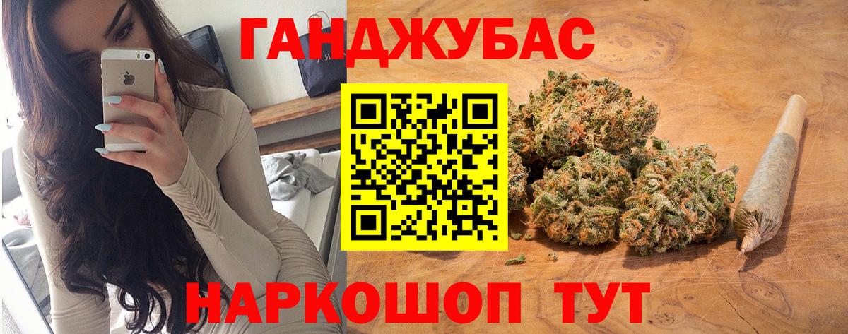 Канабис гибрид Ачхой-Мартан